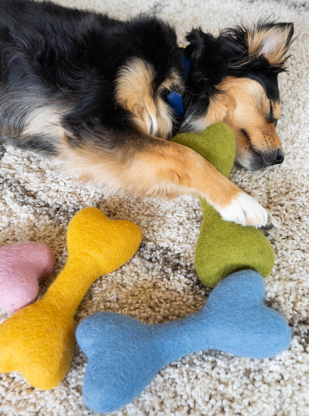 CLASSIC WOOLBONE DOG TOY by MODERNBEAST