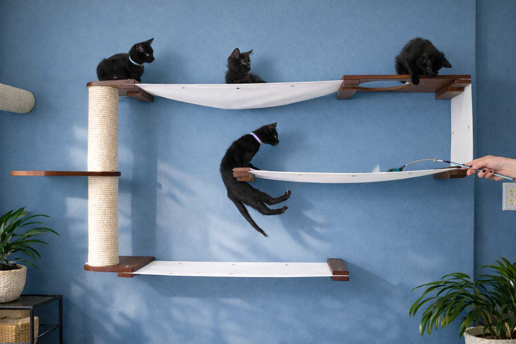 Cat Maze Wall - 3 Tier Cat Tree by Catastrophic Creations