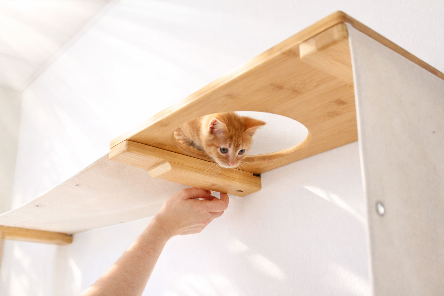 Cat Maze Wall - 3 Tier Cat Tree by Catastrophic Creations