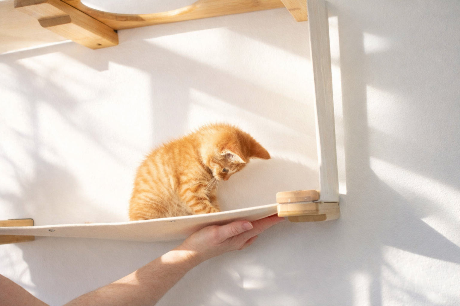 Cat Maze Wall - 3 Tier Cat Tree by Catastrophic Creations