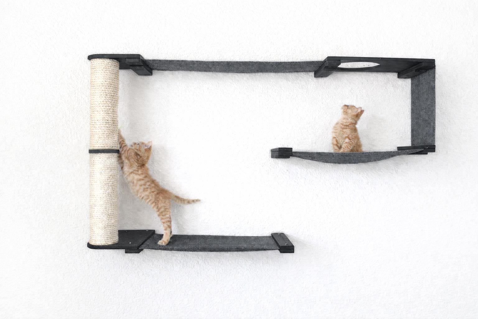 Cat Maze Wall - 3 Tier Cat Tree by Catastrophic Creations