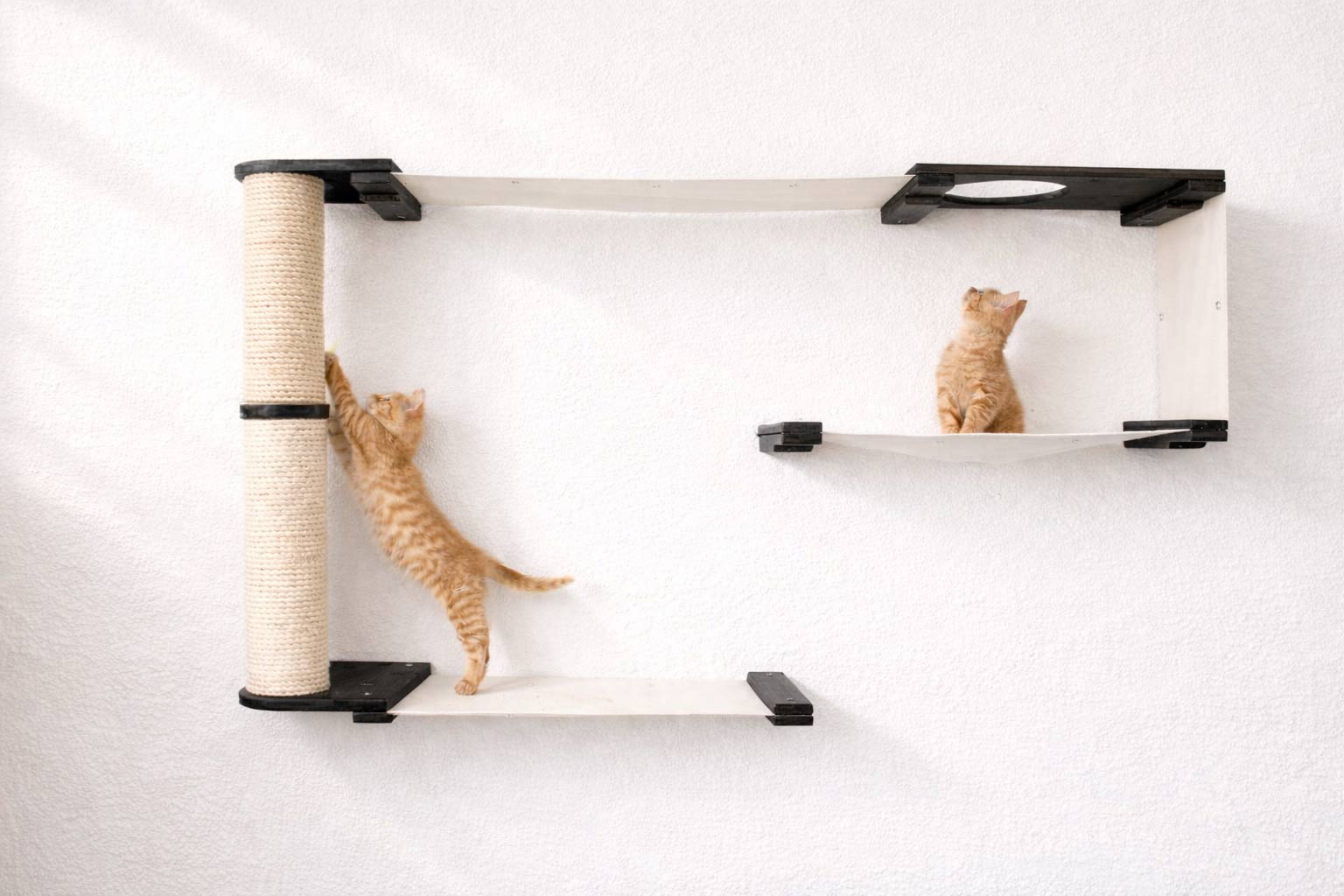 Cat Maze Wall - 3 Tier Cat Tree by Catastrophic Creations