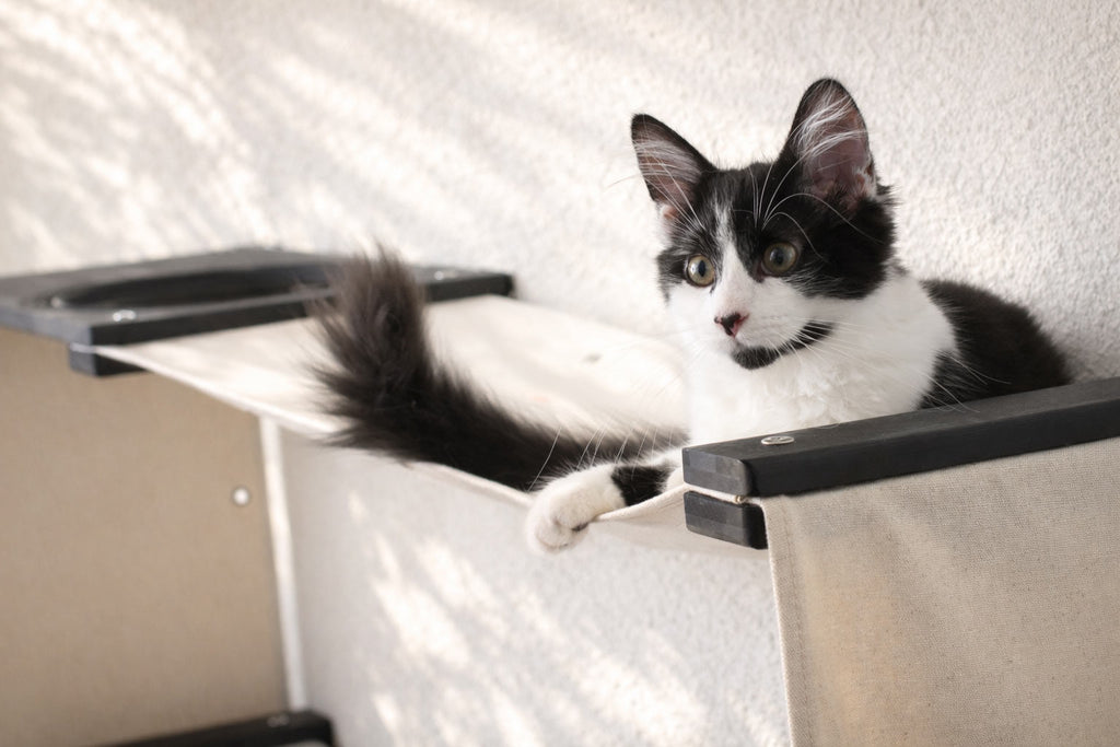 Cat Maze Wall - 3 Tier Cat Tree by Catastrophic Creations