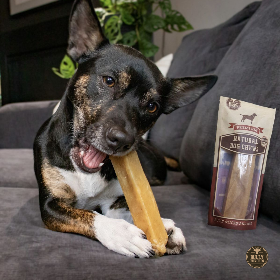 Himalayan Yak Chew (MEDIUM) by Bully Bunches