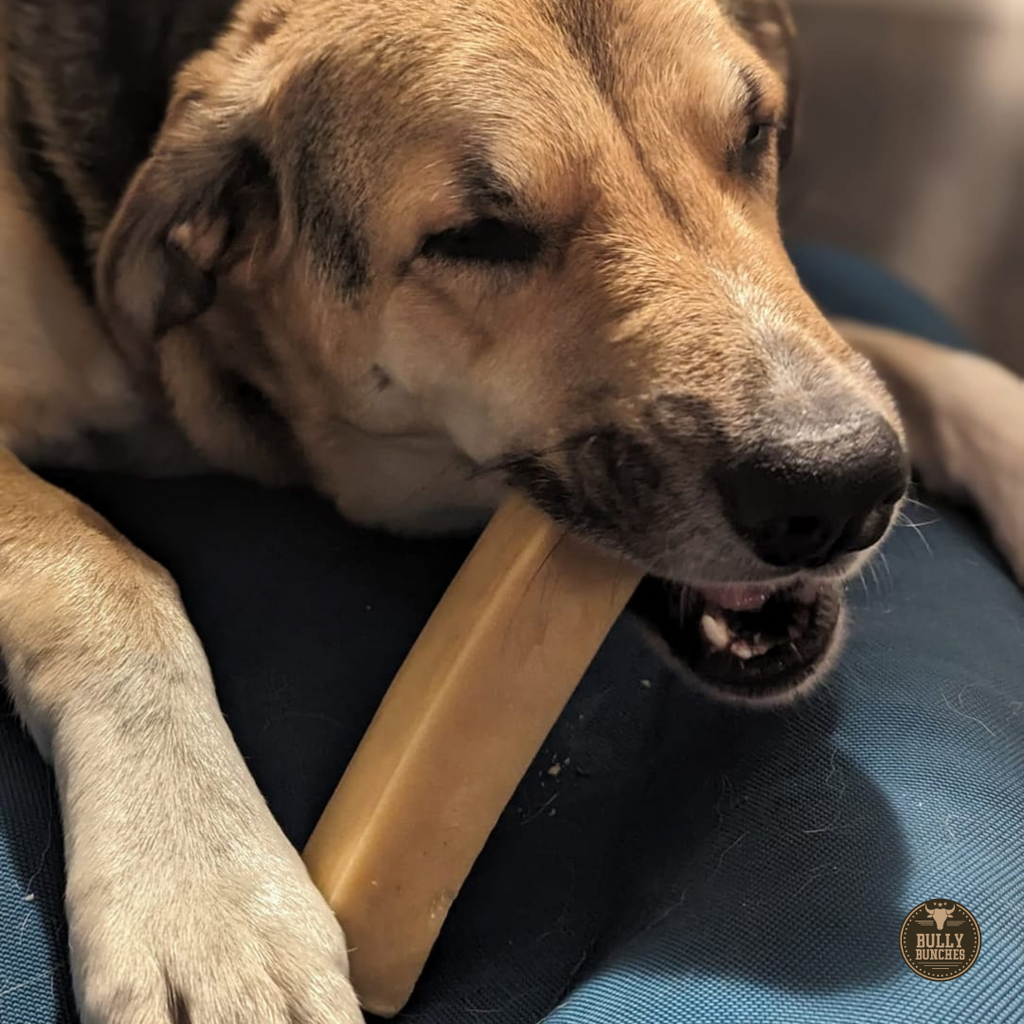 Himalayan Yak Chew (MEGA) by Bully Bunches