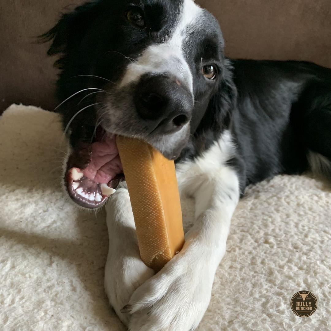 Himalayan Yak Chew (MEGA) by Bully Bunches