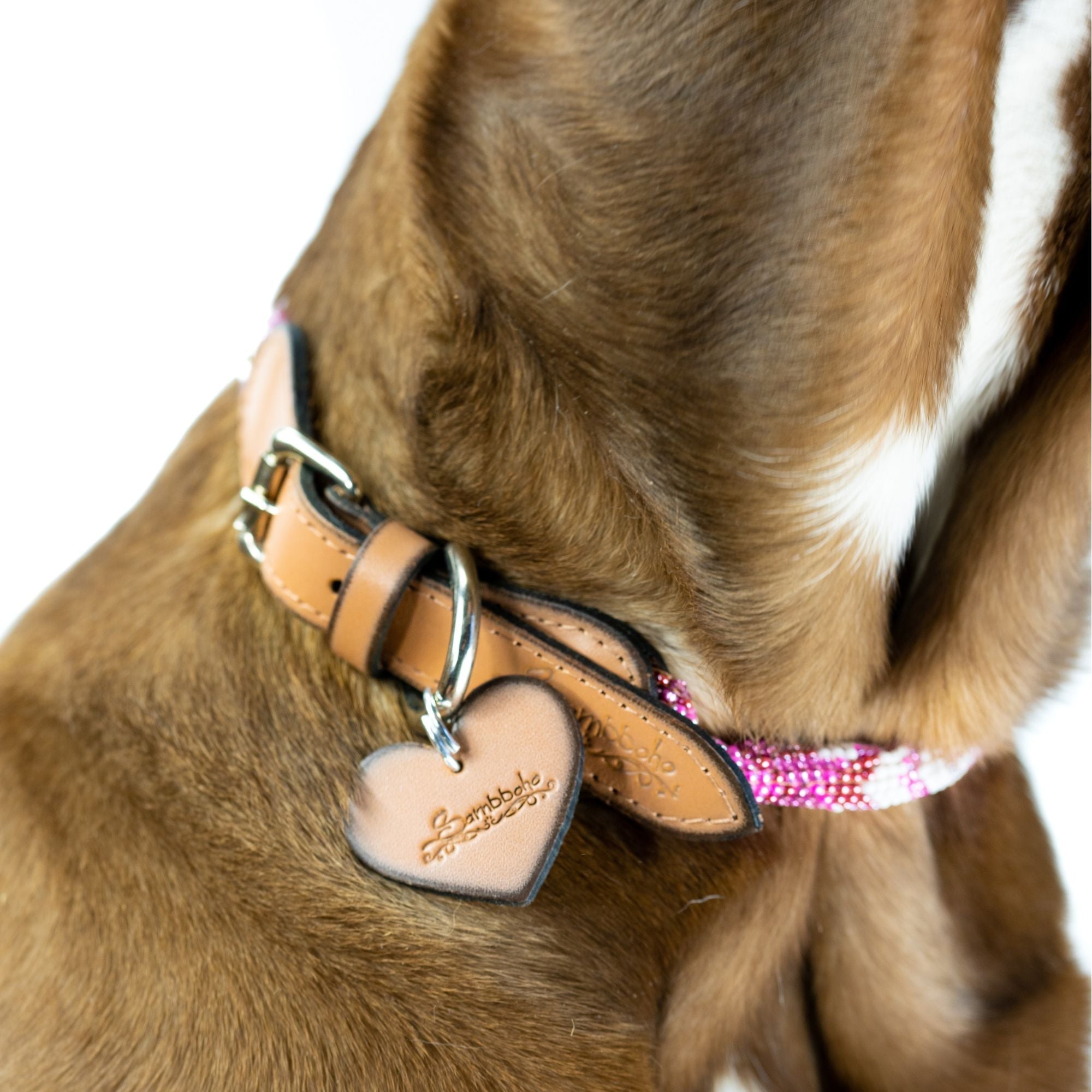 Melrose Sambboho dog collar (rolled) by Sambboho