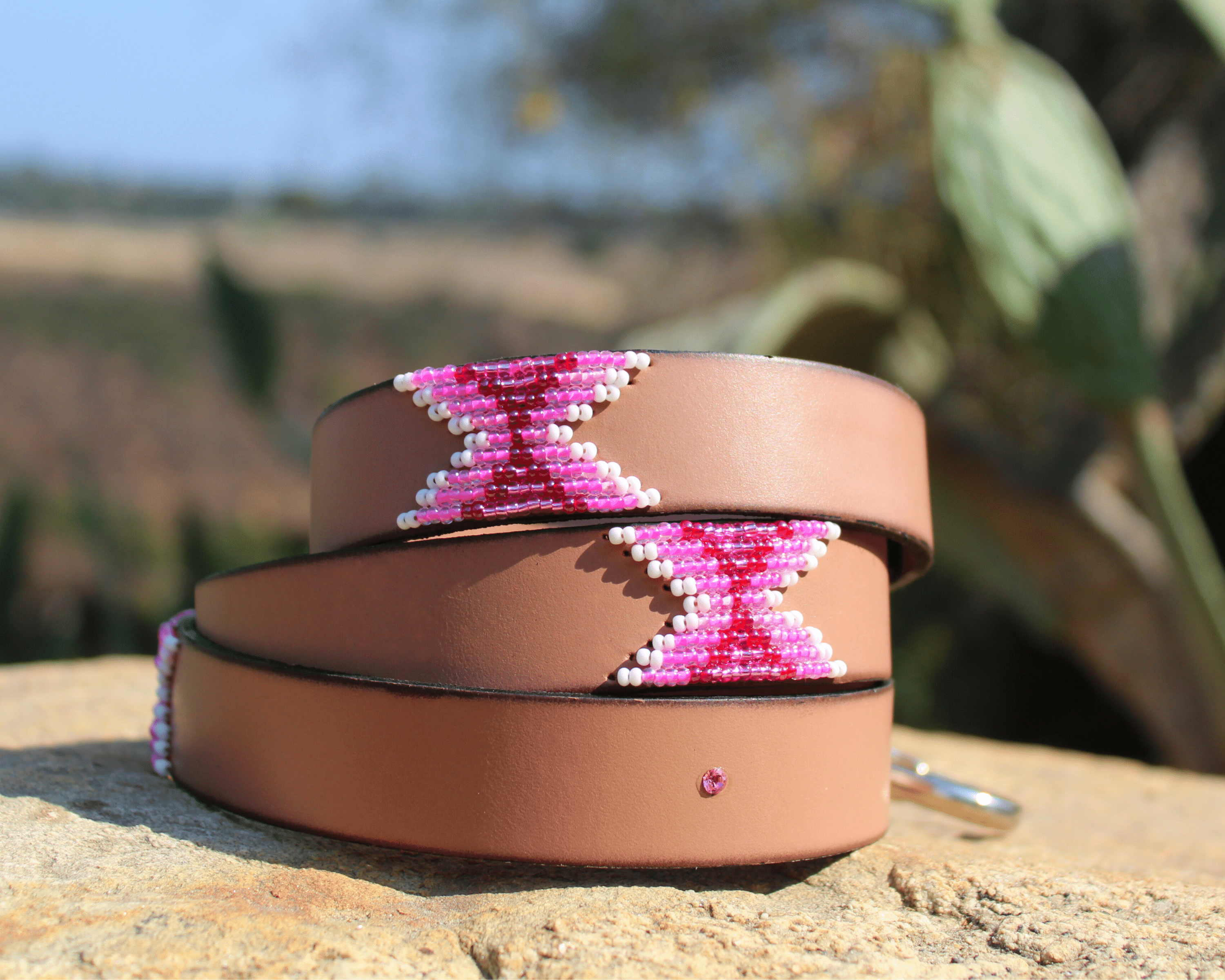 Matching leash/dog collar Melrose Sambboho Bundle by Sambboho