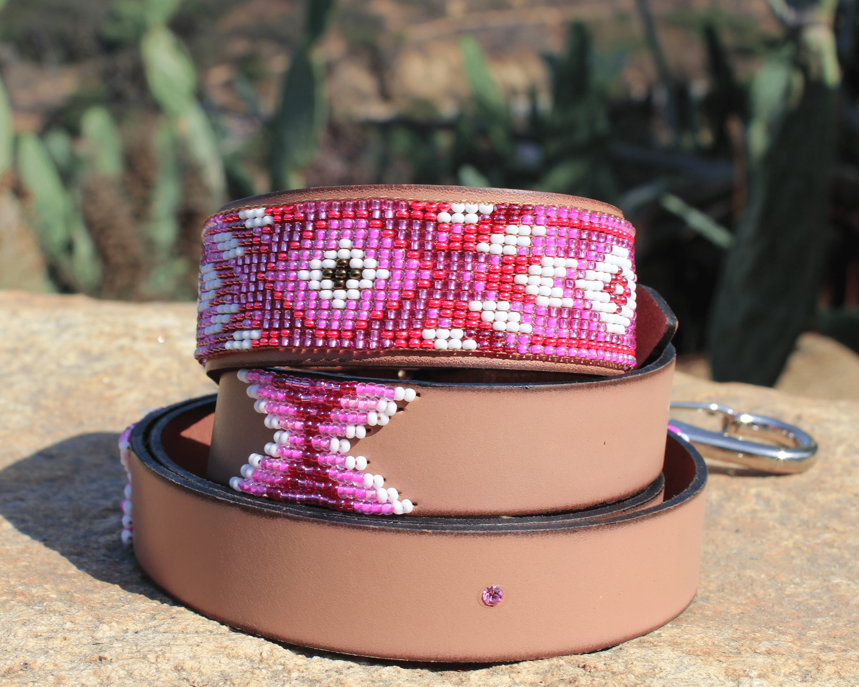 Matching leash/dog collar Melrose Sambboho Bundle by Sambboho