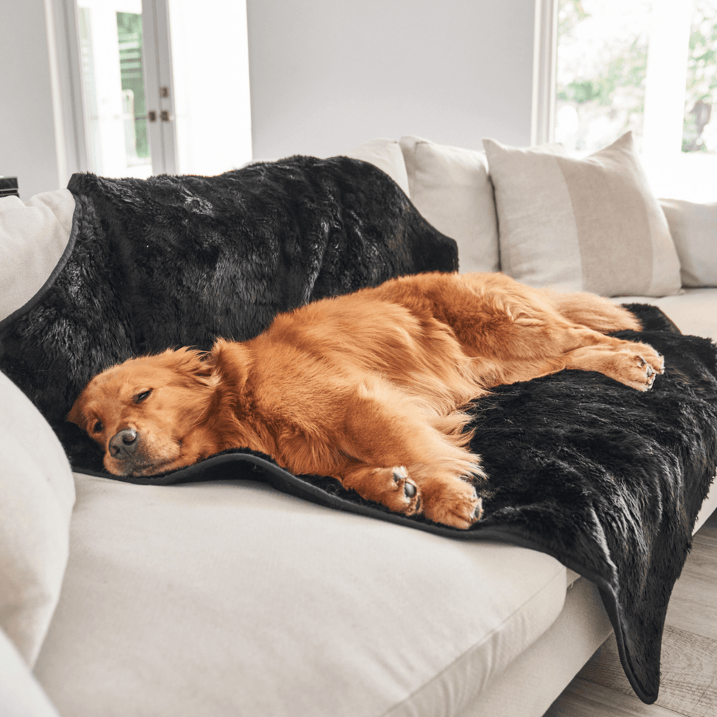 PupProtector™ Summer Short Fur Waterproof Throw Blanket - Midnight Black by Paw.com