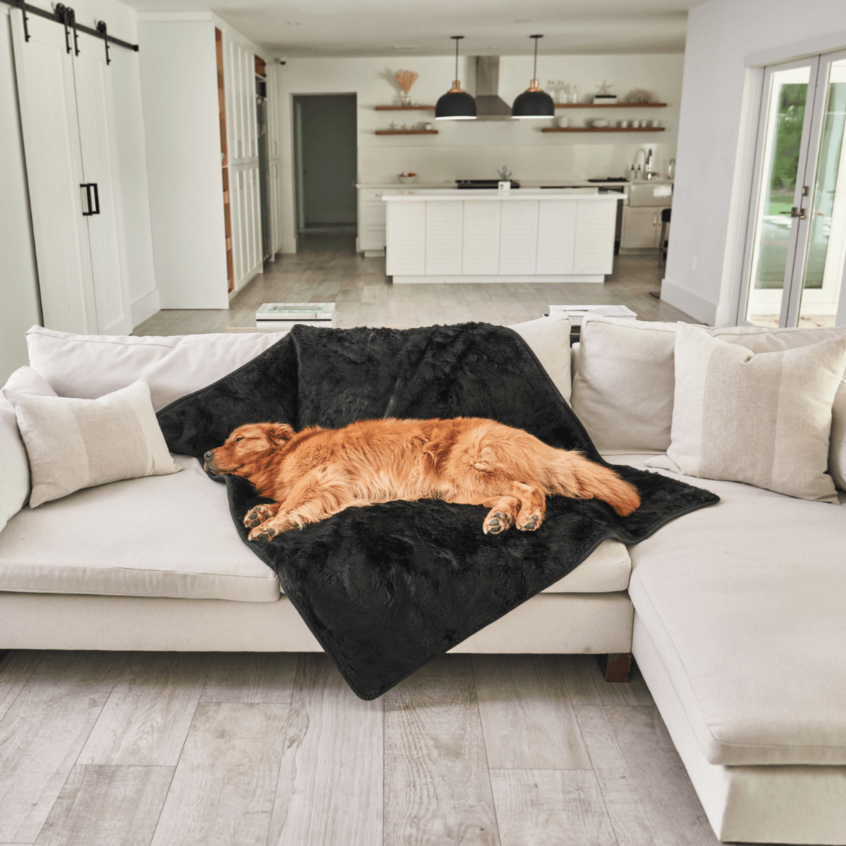 PupProtector™ Summer Short Fur Waterproof Throw Blanket - Midnight Black by Paw.com