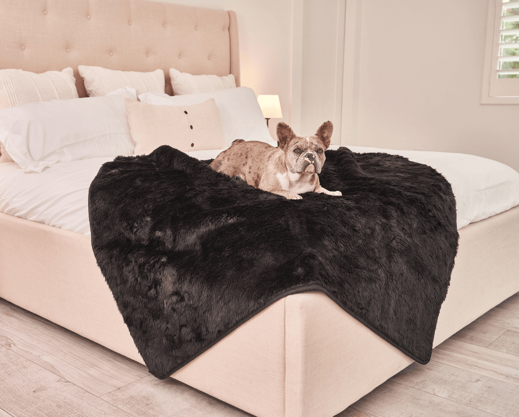 PupProtector™ Summer Short Fur Waterproof Throw Blanket - Midnight Black by Paw.com