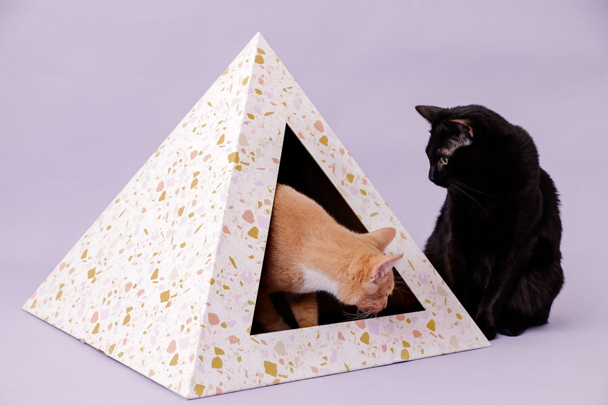 Terrazzo Cardboard Cat Pyramid by KittyKardboard