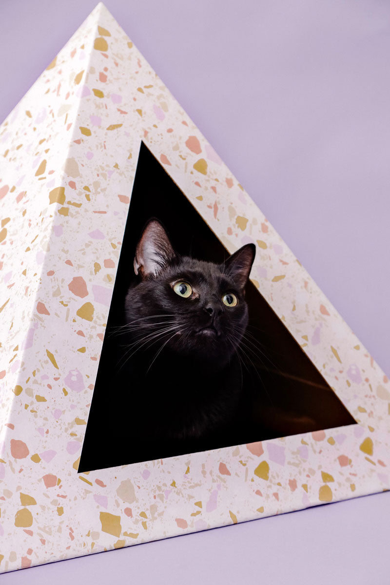 Terrazzo Cardboard Cat Pyramid by KittyKardboard