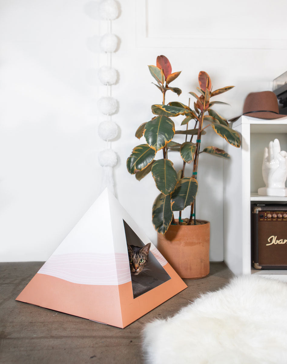 'Wavey' Cardboard Cat Pyramid