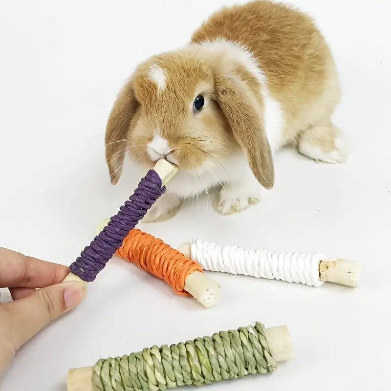 Small Animal Molar Sticks - Chew Toys for Rabbits, Guinea Pigs, Hamsters, and Chinchillas by Dahlia Pets