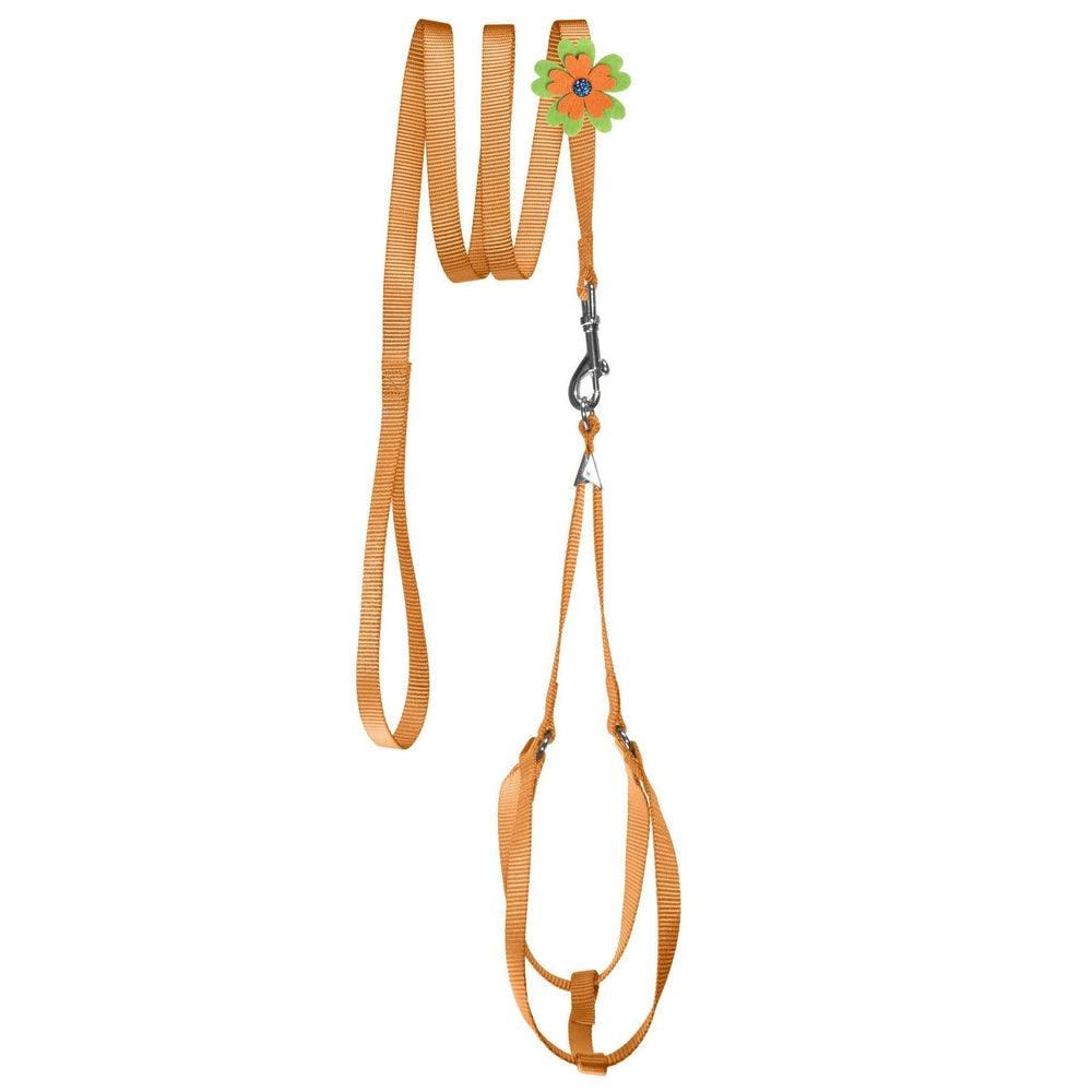 Step-In Nylon Dog Harness + Optional Flower Dog Leash by Dogline