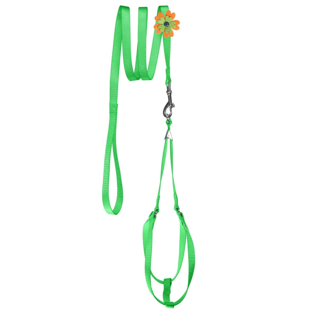 Step-In Nylon Dog Harness + Optional Flower Dog Leash by Dogline