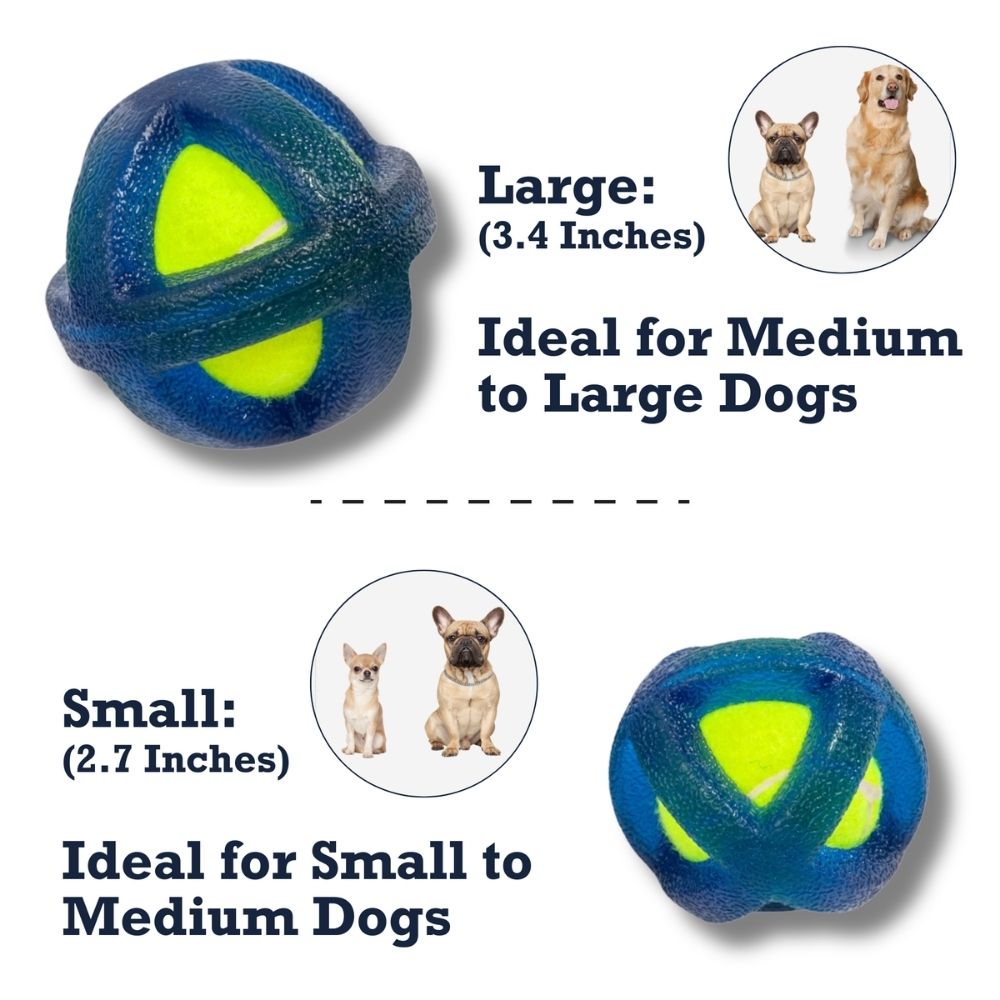 TPR-Coated Agility Tennis Ball Dog Toy – Durable & Pet-Safe by American Pet Supplies