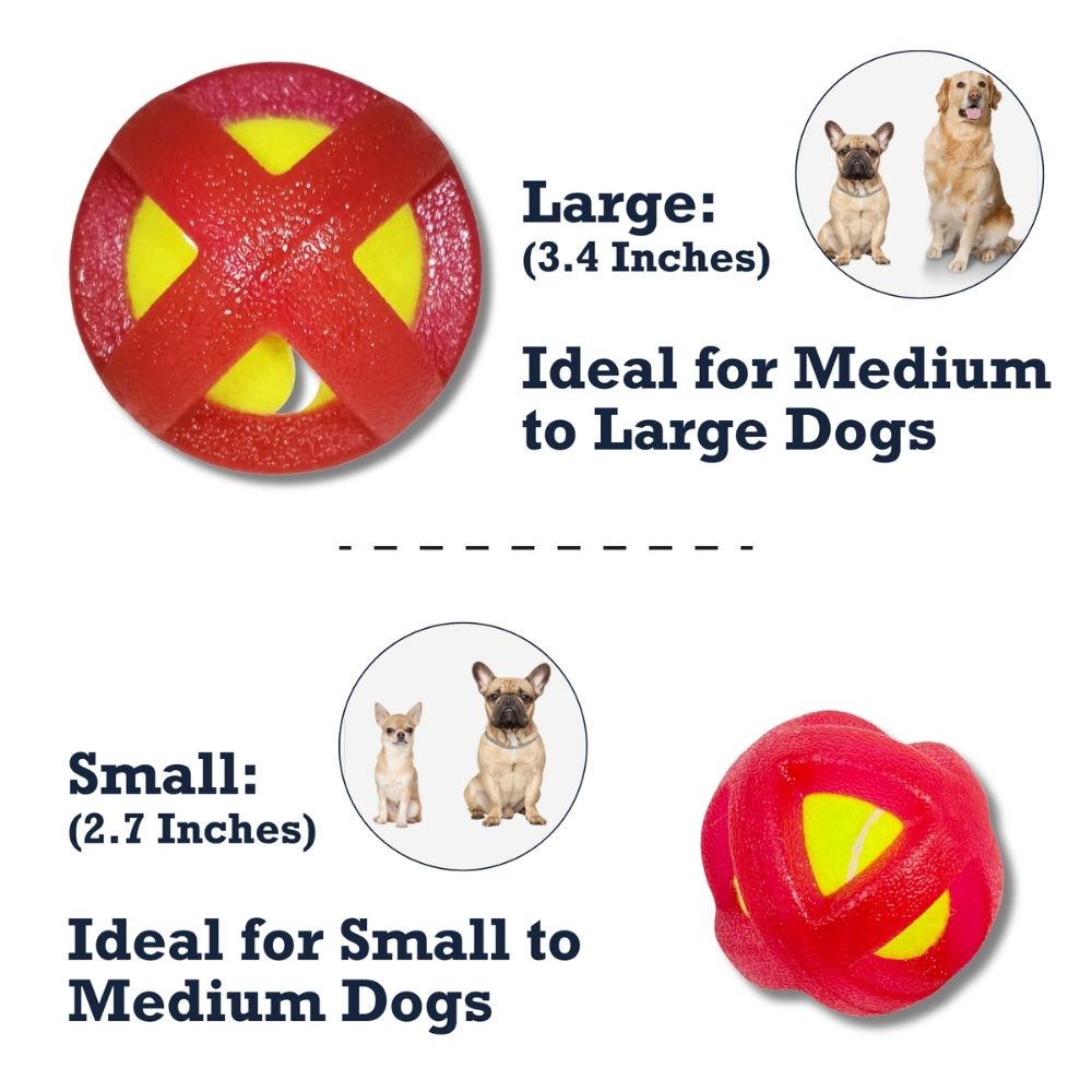 TPR-Coated Agility Tennis Ball Dog Toy – Durable & Pet-Safe by American Pet Supplies