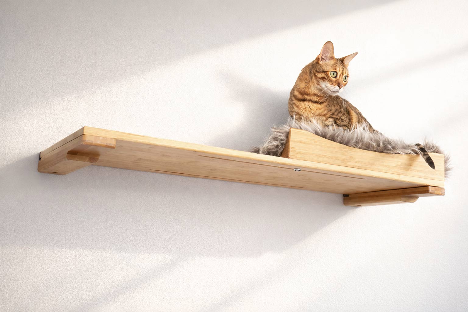 The Cat Nest Bed by Catastrophic Creations