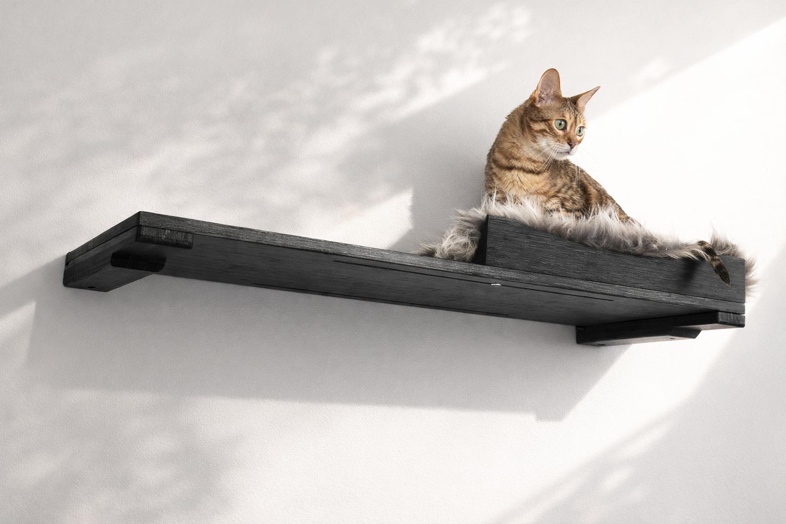 The Cat Nest Bed by Catastrophic Creations