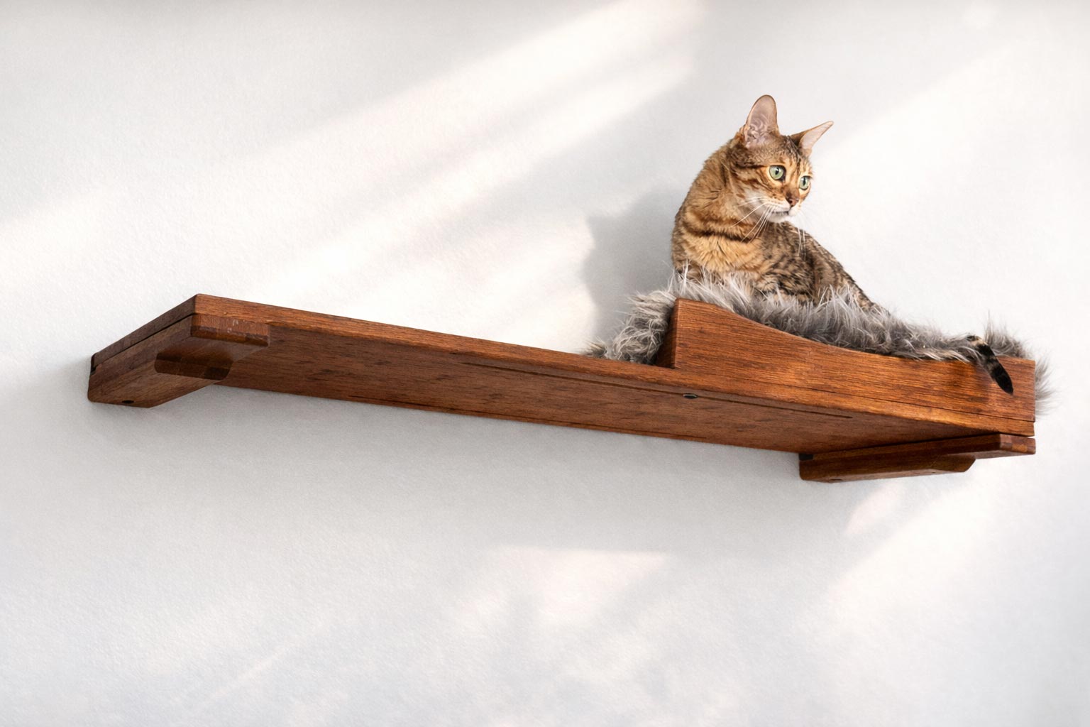 The Cat Nest Bed by Catastrophic Creations