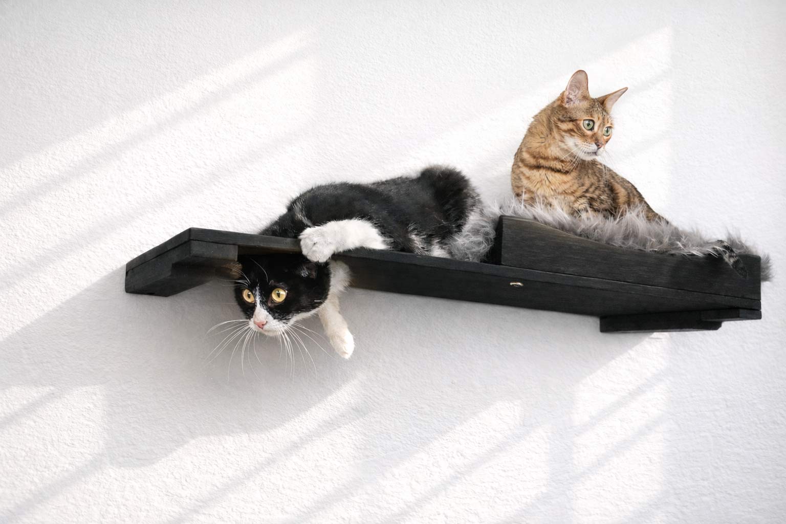 The Cat Nest Bed by Catastrophic Creations