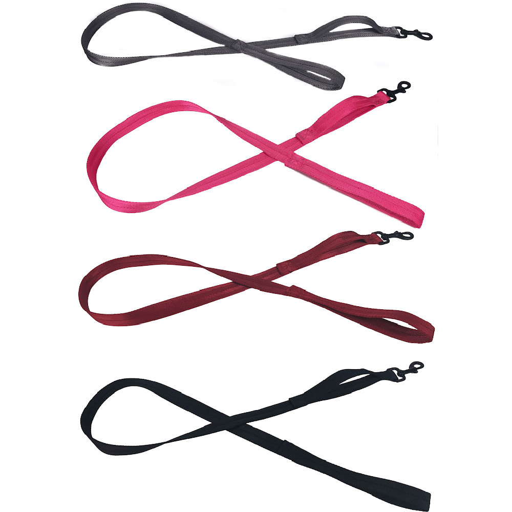 Nylon Flat Leash + Built-in Traffic Handle by Dogline