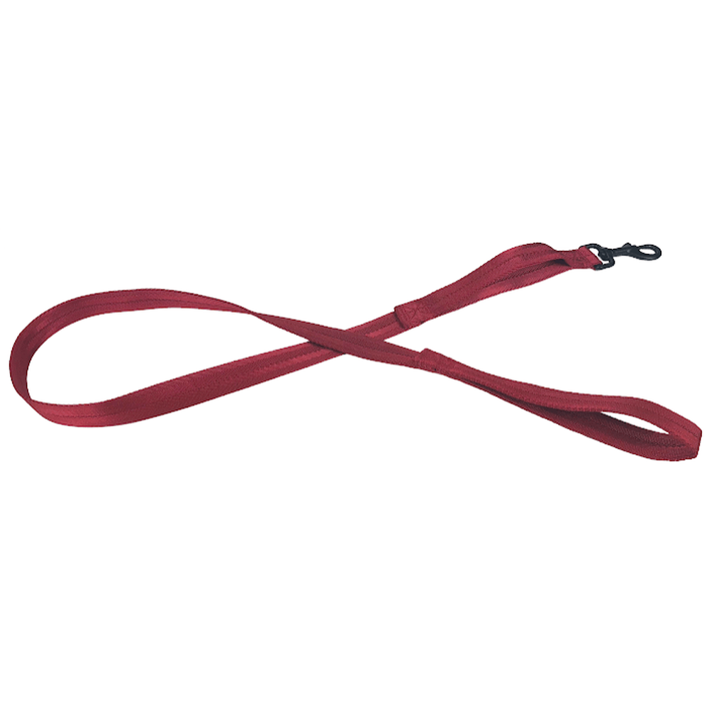 Nylon Flat Leash + Built-in Traffic Handle by Dogline
