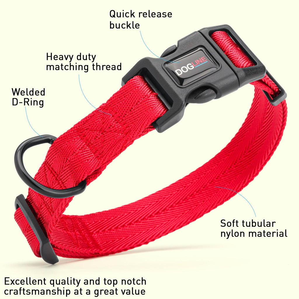 Nylon Flat Dog Collar by Dogline