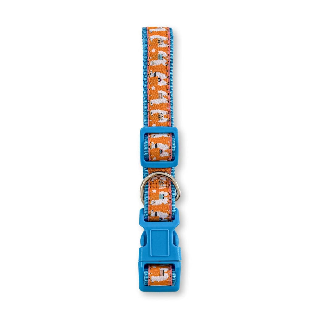 Nylon Dog Collar with Embroidered Llama Design, Adjustable, Comfortable & Secure Fit by American Pet Supplies