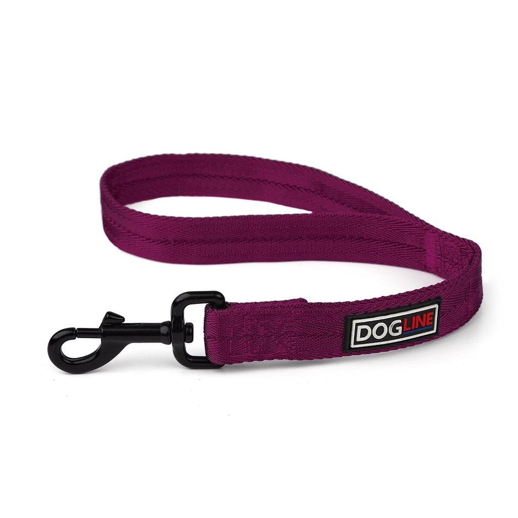 Nylon Flat Dog Leash by Dogline
