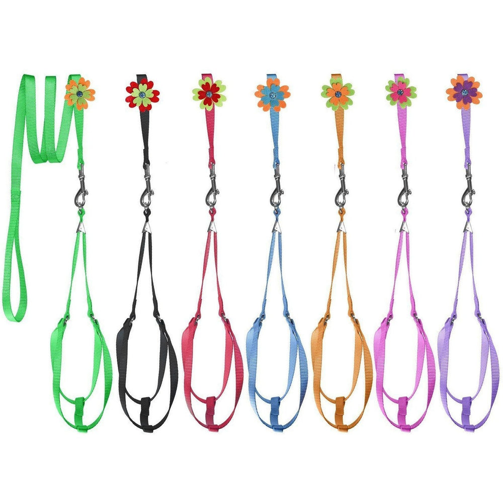 Step-In Nylon Dog Harness + Optional Flower Dog Leash by Dogline