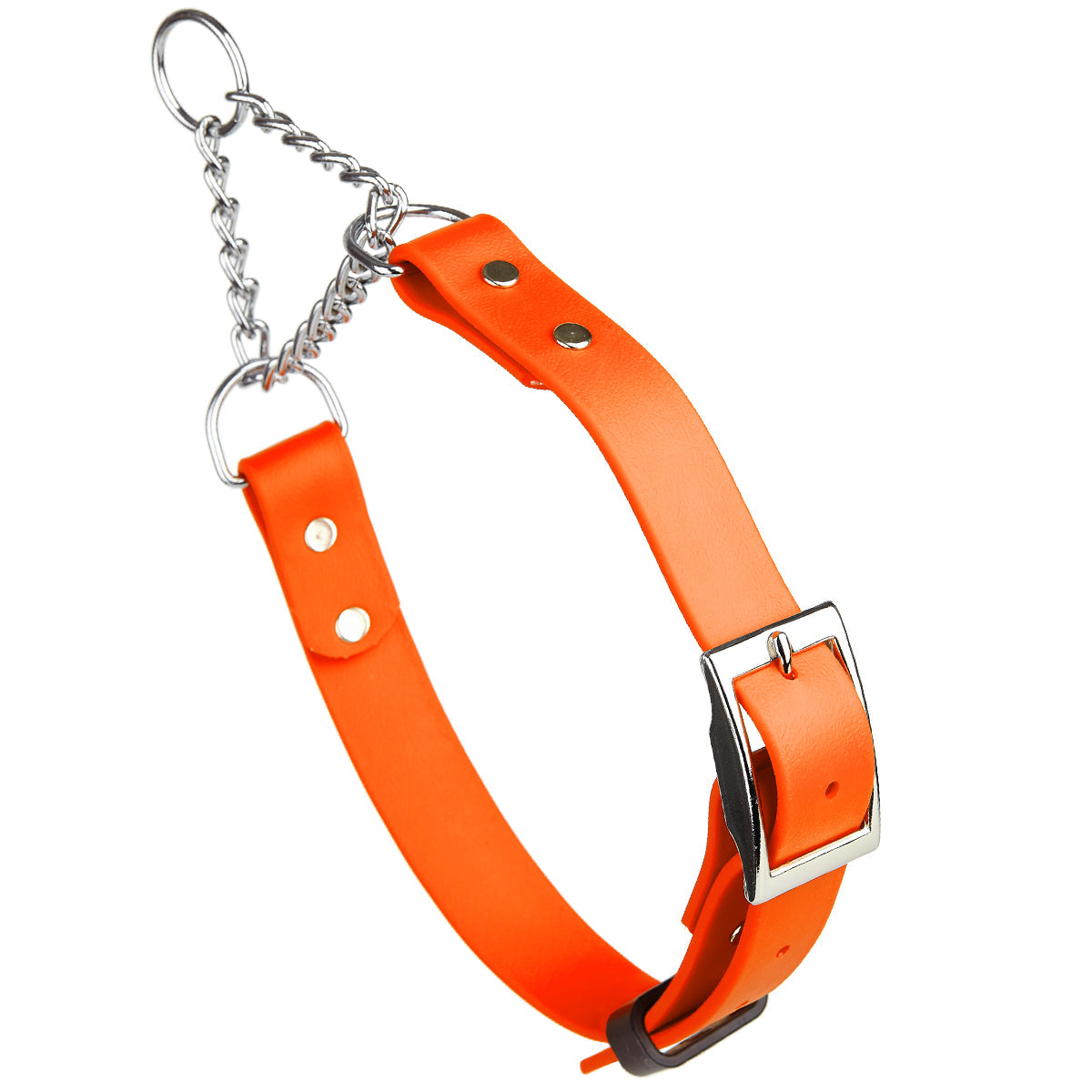 Biothane Adjustable Martingale Collar with Metal Buckle by Dogline