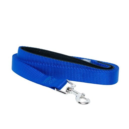 Padded Grip Dog Leash – Durable Nylon, Comfortable, and Secure – 5ft. by American Pet Supplies