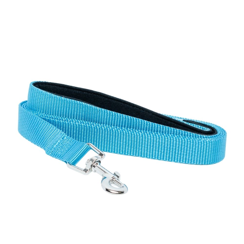 Padded Grip Dog Leash – Durable Nylon, Comfortable, and Secure – 5ft. by American Pet Supplies