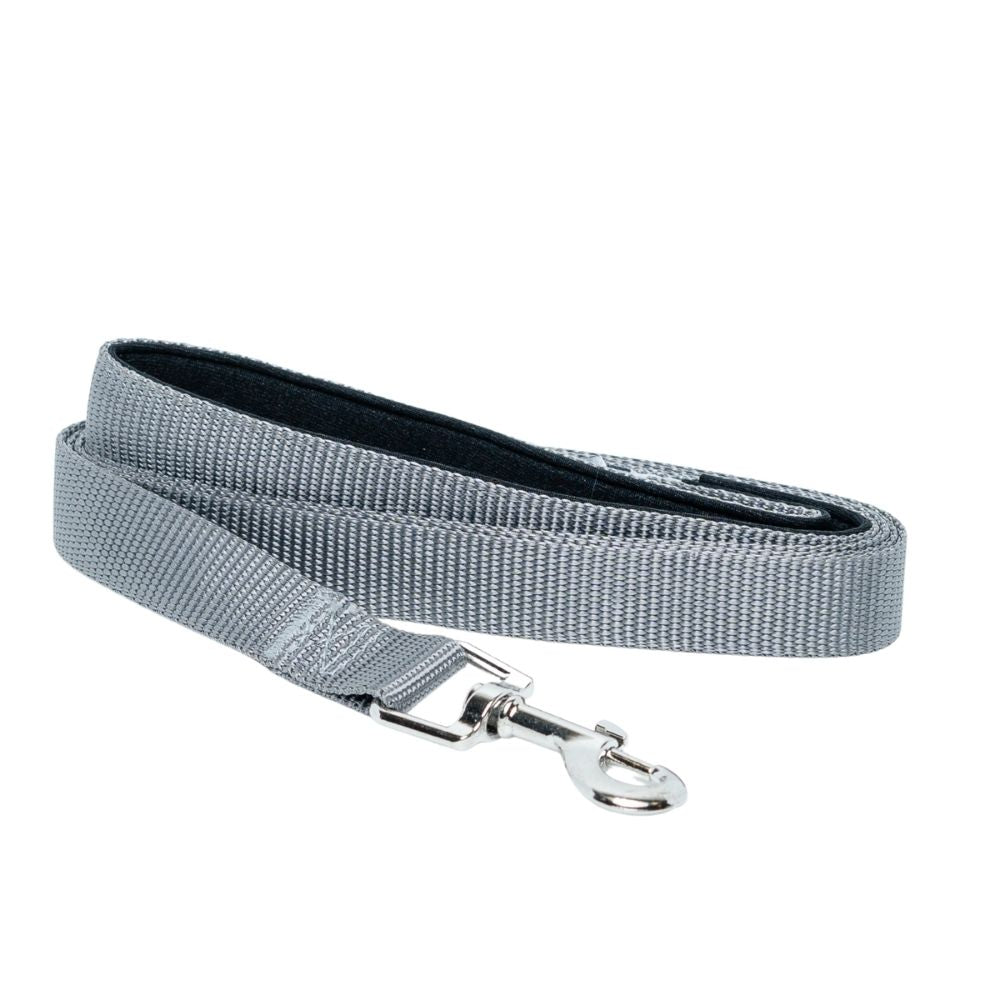 Padded Grip Dog Leash – Durable Nylon, Comfortable, and Secure – 5ft. by American Pet Supplies