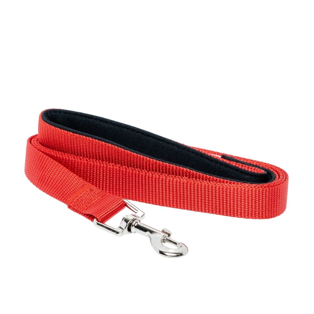 Padded Grip Dog Leash – Durable Nylon, Comfortable, and Secure – 5ft. by American Pet Supplies