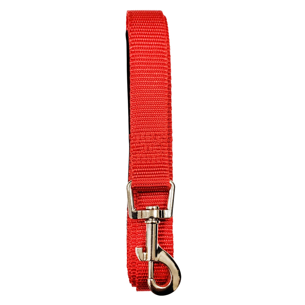 Padded Grip Dog Leash – Durable Nylon, Comfortable, and Secure – 5ft. by American Pet Supplies