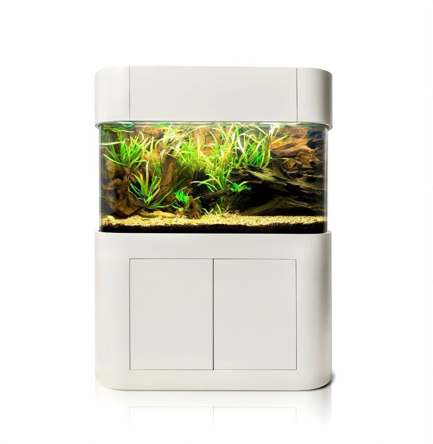 Glass Panoramic Flat by AQUA VIM