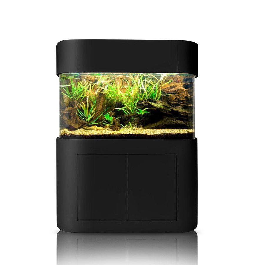 Glass Panoramic Flat by AQUA VIM