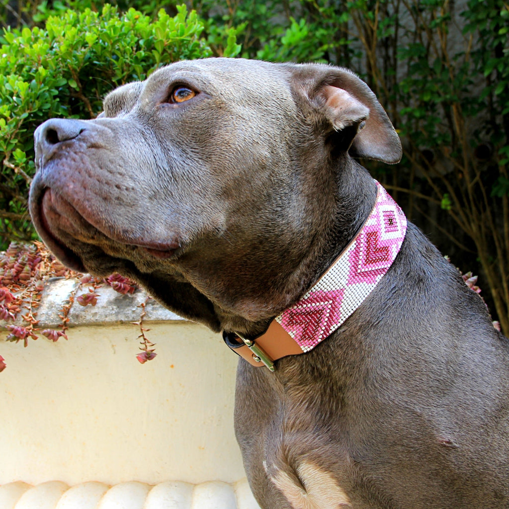 Paris Sambboho dog collar (with center D-ring) by Sambboho