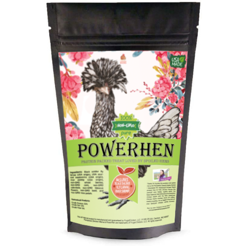 PowerHen (TM) High Protein Treat With Mealworms, Black Soldier Fly Larvae, & Herbs For Backyard Chickens by Dahlia Pets
