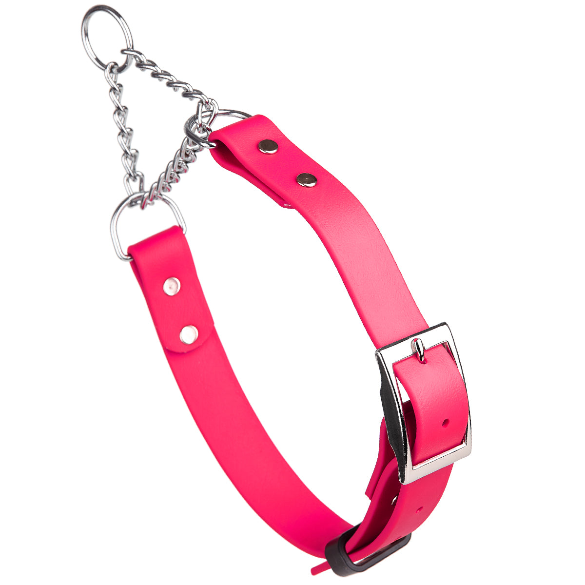Biothane Adjustable Martingale Collar with Metal Buckle by Dogline