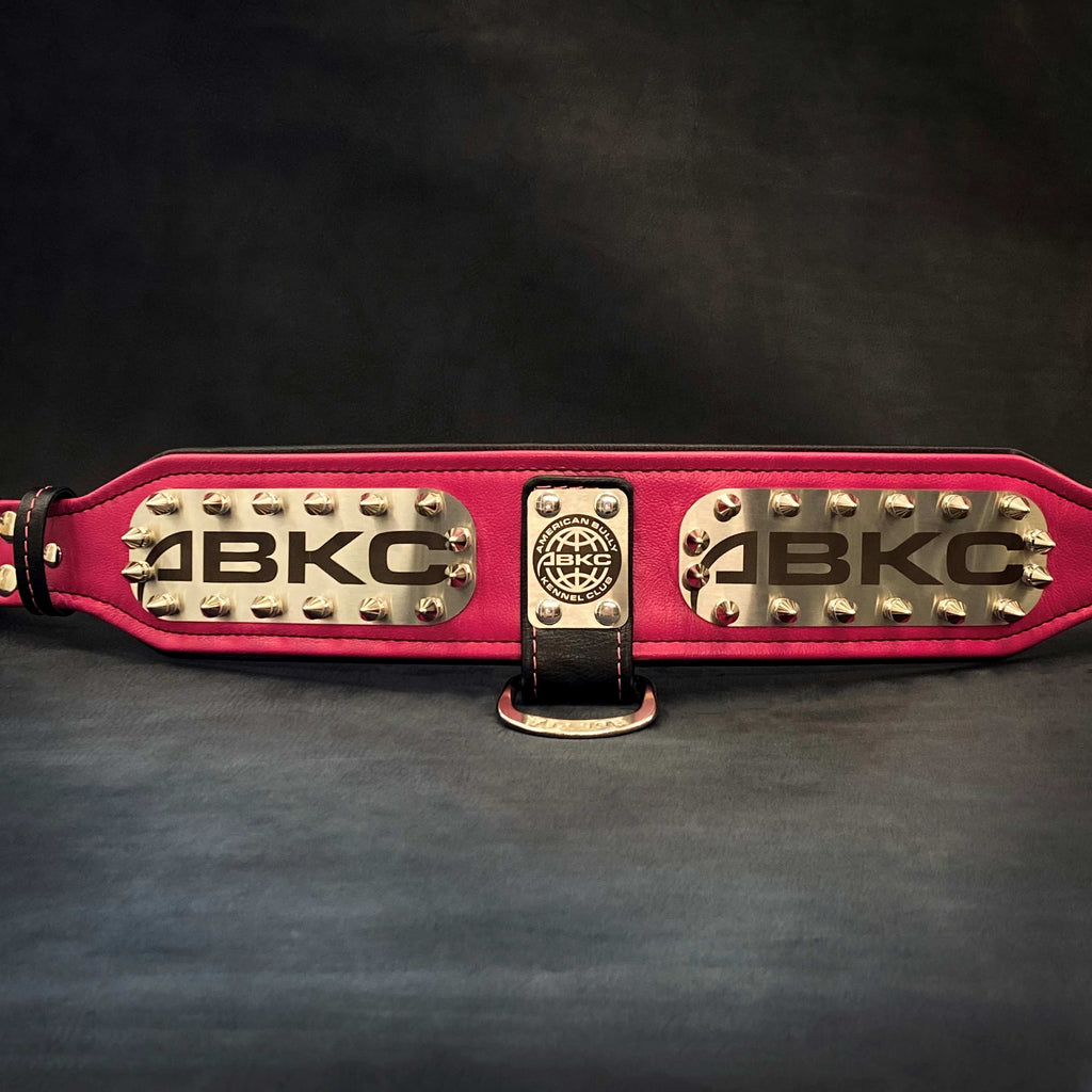 The ABKC Collar by Bestia Dog Gear