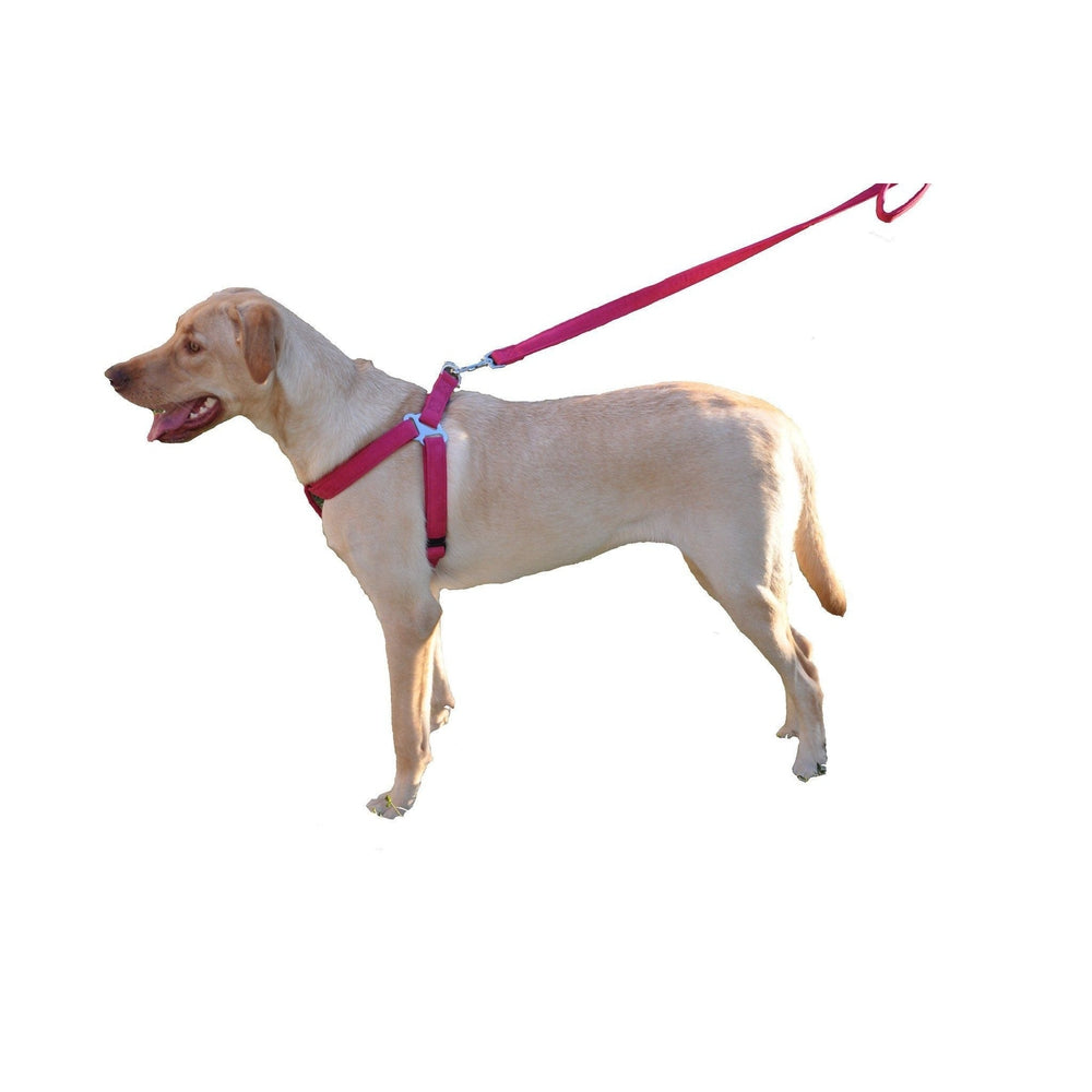Comfort Microfiber Flat Step-In Dog Harness by Dogline