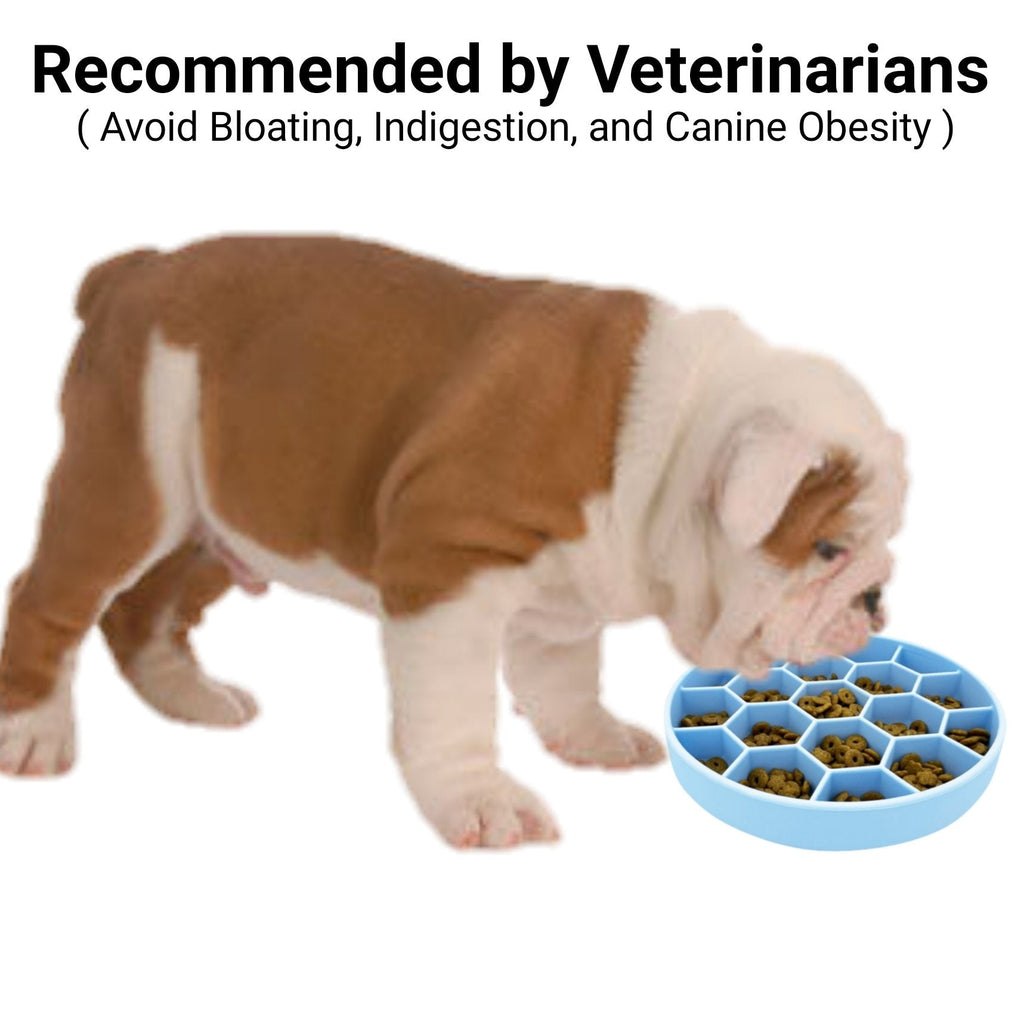Mr. Peanut's Silicone Slow Feeder Dog Bowl by Mr. Peanut's Pet Carriers
