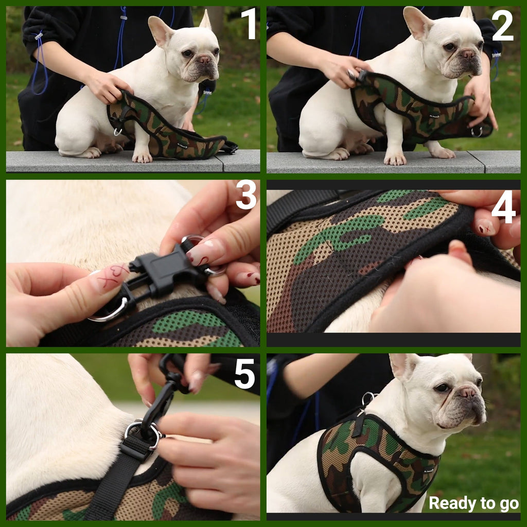Mr. Peanut's PupTrek Soft Mesh Pet Harness with Matching Leash – Adjustable, Breathable, Choke-Free by Mr. Peanut's Pet Carriers