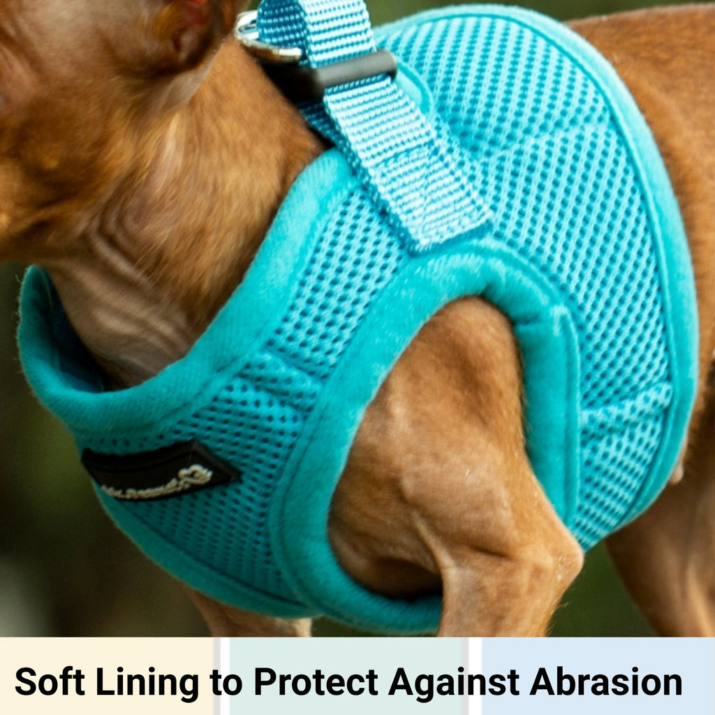 Mr. Peanut's PupTrek Soft Mesh Pet Harness with Matching Leash – Adjustable, Breathable, Choke-Free by Mr. Peanut's Pet Carriers